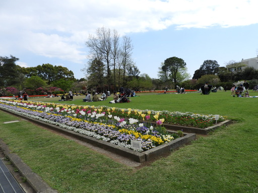 106日比谷花壇大船フラワーセンター