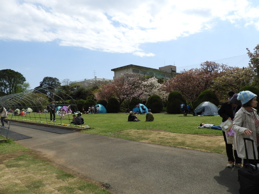 105日比谷花壇大船フラワーセンター