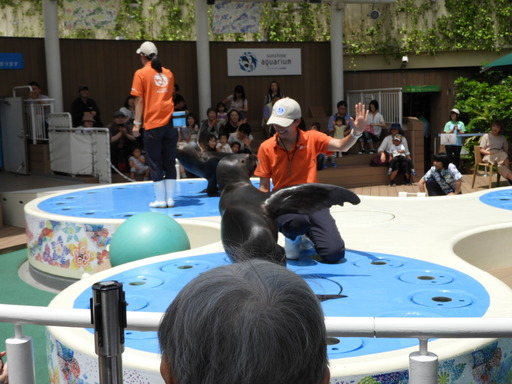 池袋サンシャイン水族館 030