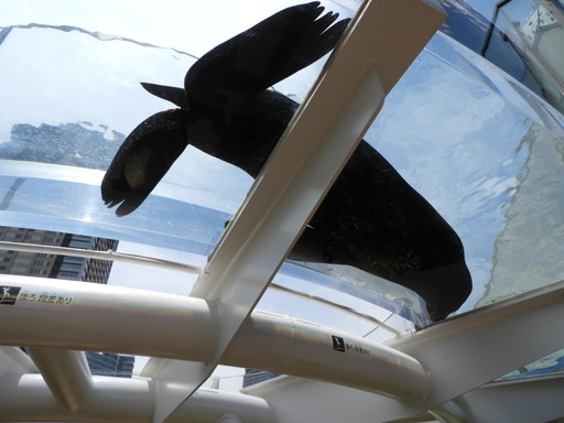 池袋サンシャイン水族館 033