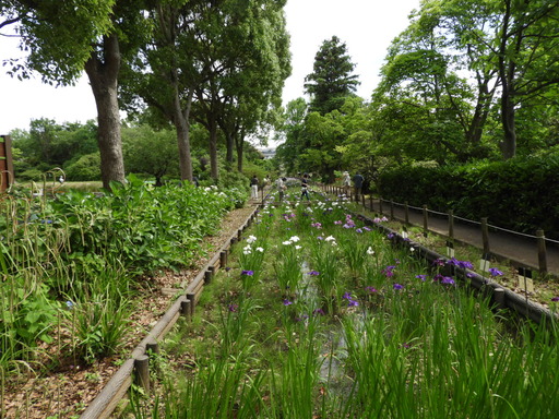 日比谷花壇大船フラワーセンター 005