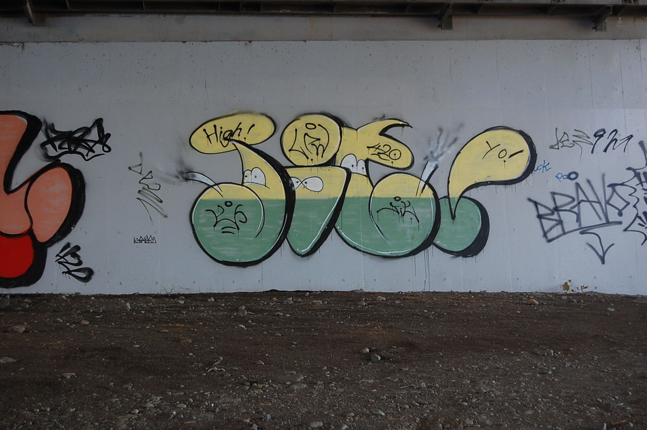 相模大堰 神奈川県海老名市社家 : 花 を ひ ろ う