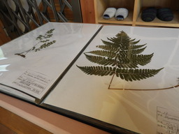 俣野別邸公園 022