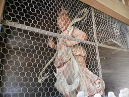 016神木山 等覚院