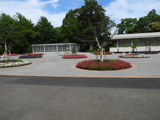 日比谷花壇大船フラワーセンター 053