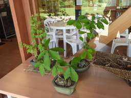 俣野別邸公園 024