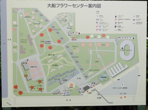 日比谷花壇大船フラワーセンター 033