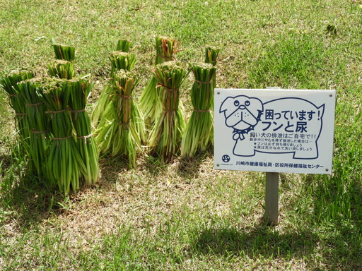 生田緑地ばら苑 013