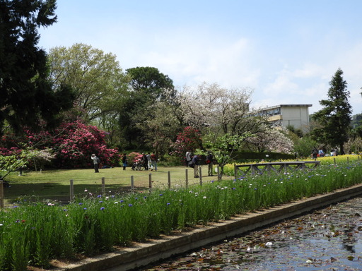 023日比谷花壇大船フラワーセンター