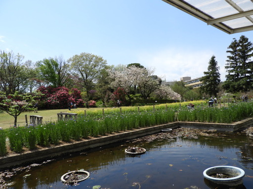 020日比谷花壇大船フラワーセンター