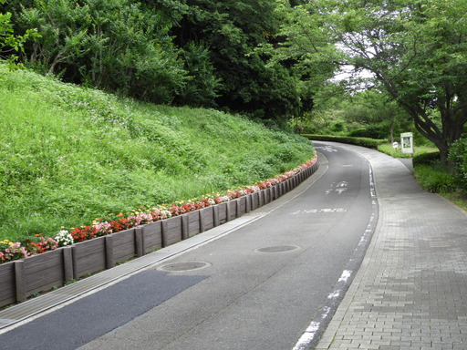 金沢自然公園 004