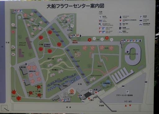 064日比谷大船フラワーセンター