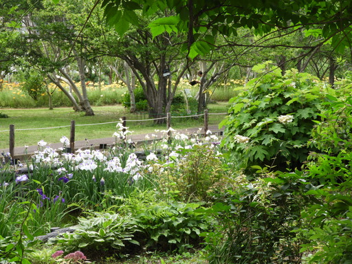 日比谷花壇大船フラワーセンター 045