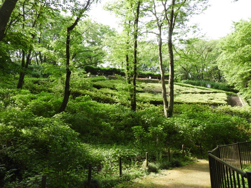 036東高根森林公園