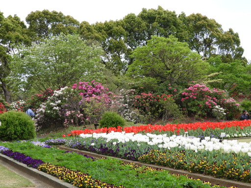 110日比谷花壇大船フラワーセンター
