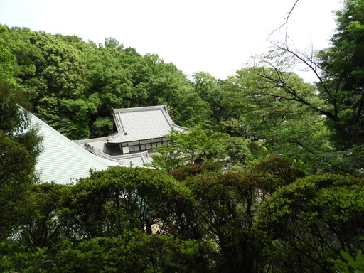 025等覚院裏山から