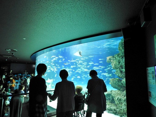 池袋サンシャイン水族館 011