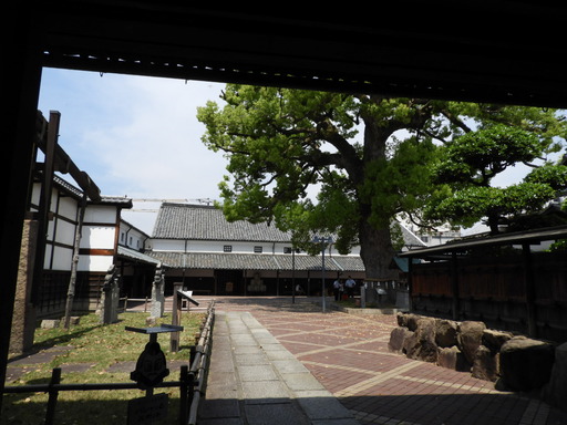 四国 273金陵蔵元