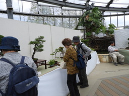 100第23回 春の盆栽展