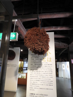 四国 256金陵蔵元歴史館 杉玉