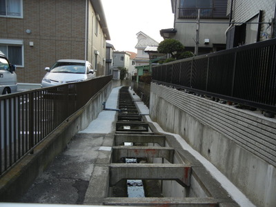 DSCN1398