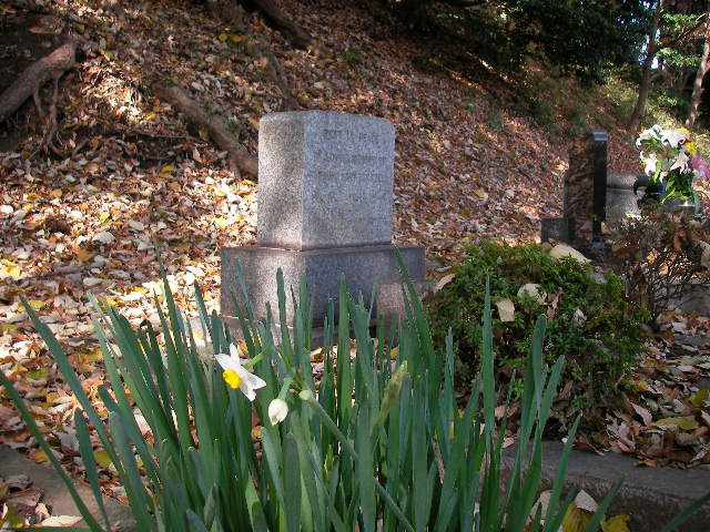 紅葉狩り 根岸外国人墓地 本牧山頂公園 三渓園 しいのみ日記