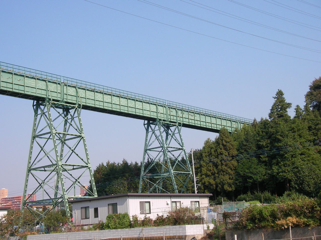 コスモスと水路橋 大貫谷戸水路橋 しいのみ日記 コスモスと水路橋 大貫谷戸水路橋 しいのみ日記