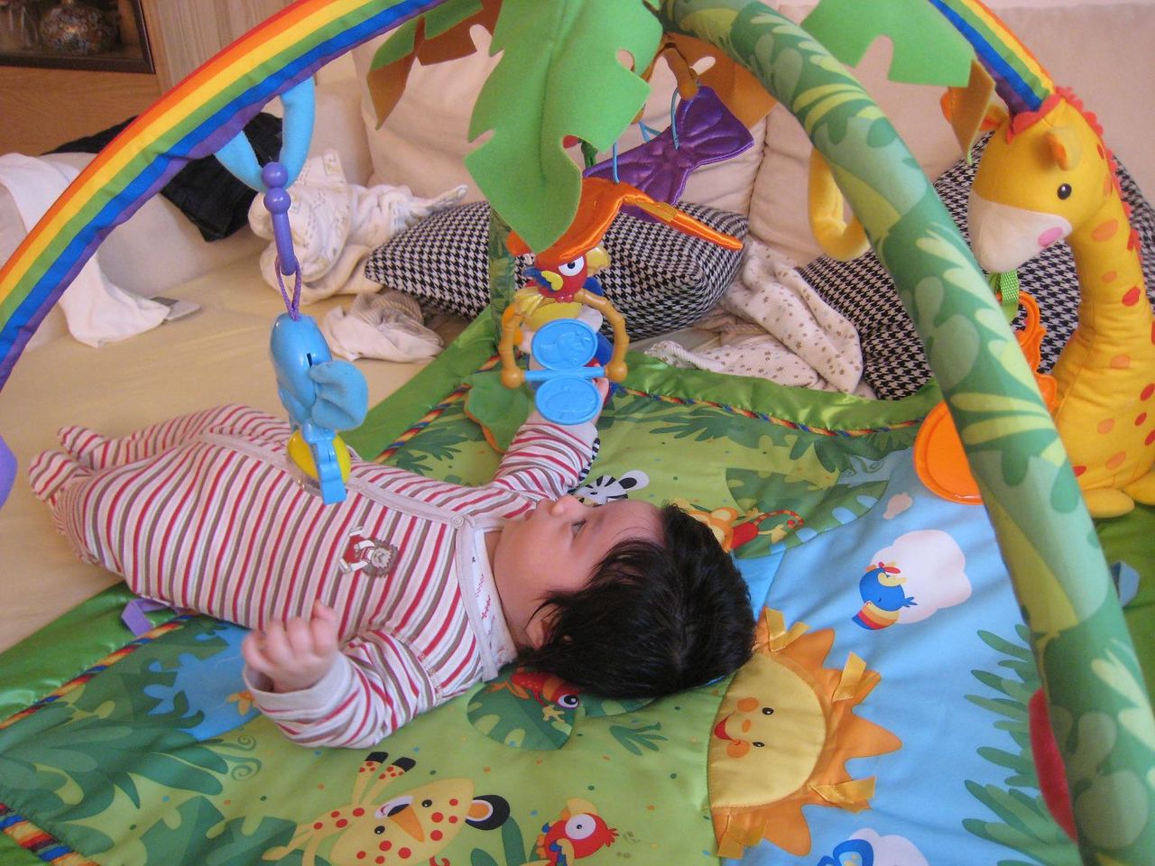 生後2ヶ月半の魁 クマ家族