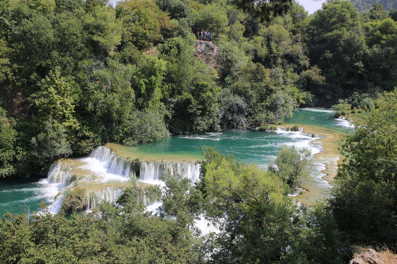 Nr 10 第7日目 Krka National Park クルカ国立公園 クマ家族 Nr 10 第7日目 Krka National Park クルカ国立公園 クマ家族