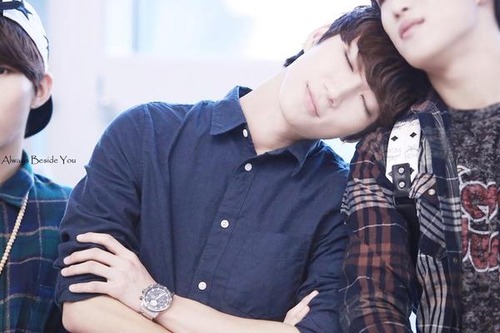 しじみあさり Bigstar