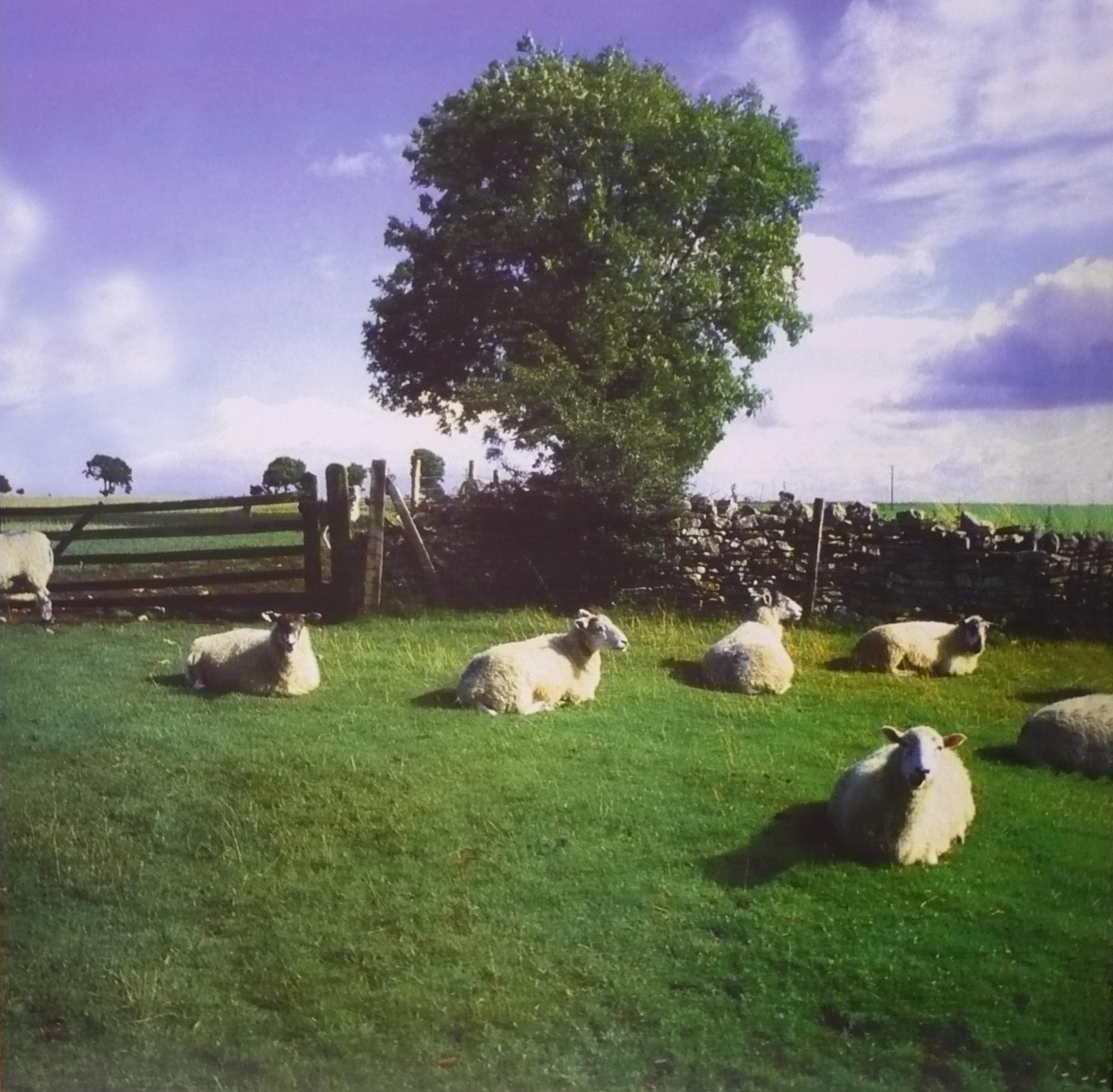 真夜中のsong Book The Klf Chill Out