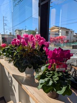 PXL_20251215_032043988