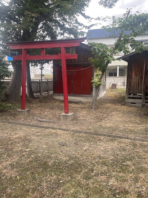 メイン