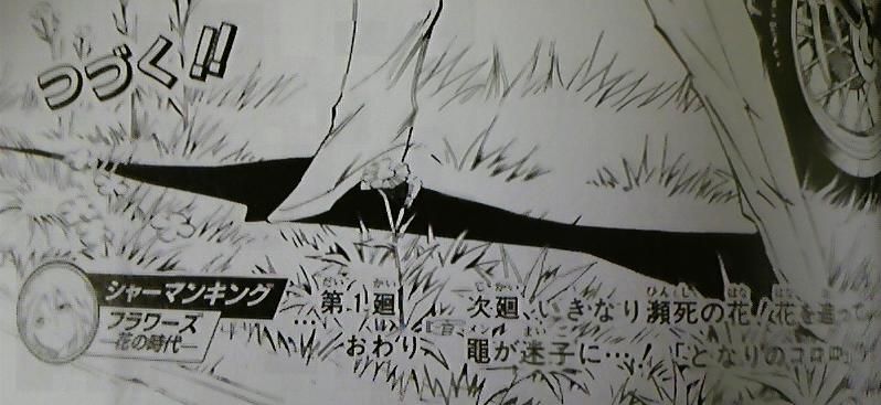 シャーマンキング フラワーズ シャーマンキング の続編が始まるらしいね 二次裏ニュース 旧