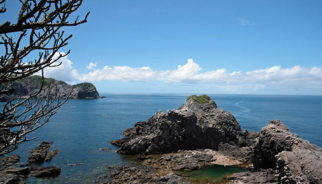 海行きてえ