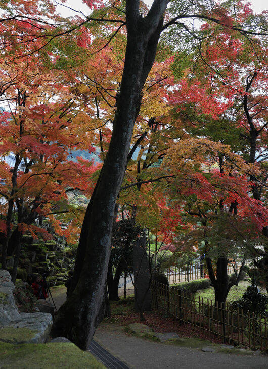 綺麗をお届け 今日の大窪寺 高松の星空と旬の話題 綺麗をお届け 今日の大窪寺 高松の星空と旬の話題