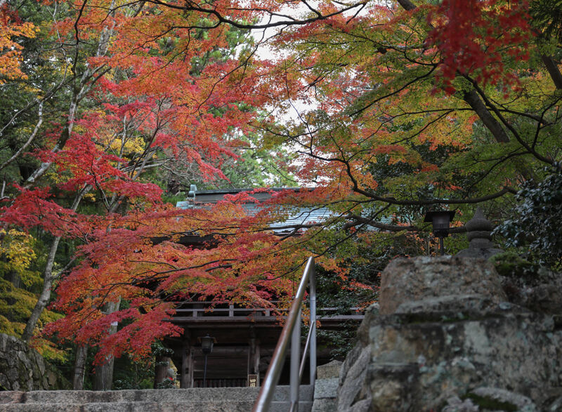 綺麗をお届け 今日の大窪寺 高松の星空と旬の話題 綺麗をお届け 今日の大窪寺 高松の星空と旬の話題