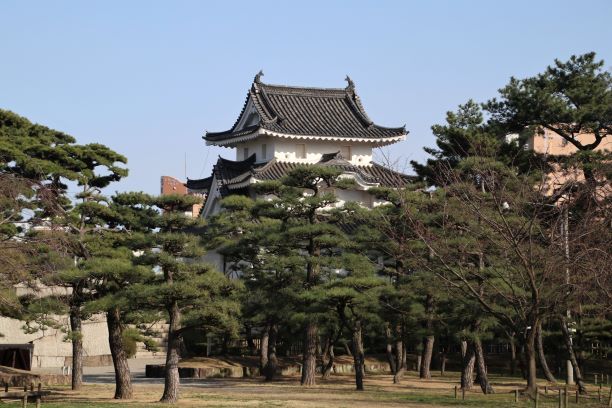 玉藻公園 桜模様 高松の星空と旬の話題 玉藻公園 桜模様 高松の星空と旬の話題
