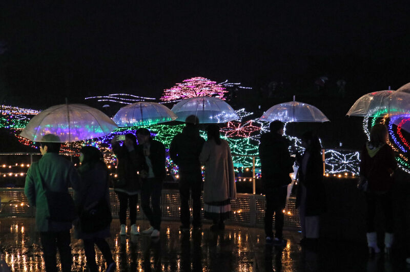 広島の夜空を花火×イルミネーション×光と音の演出が彩る みろく