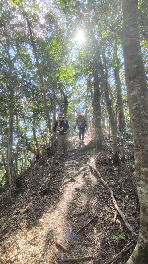 八丁山山頂近く1768269726161