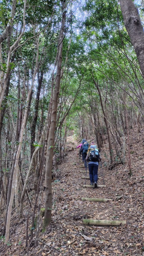 LINE_ALBUM_20250222五在所峰_250413_62