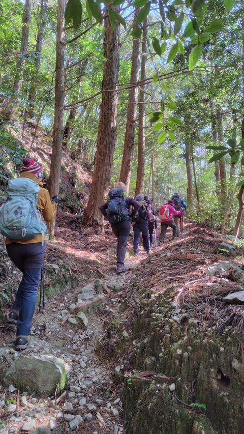 LINE_ALBUM_20250222五在所峰_250413_5