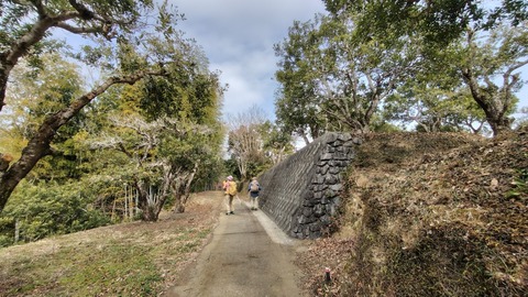 LINE_ALBUM_20250301八丁_250413_18