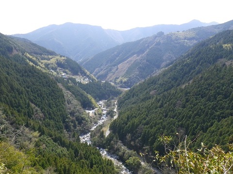 IMGP2546
