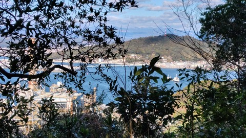 1737896279335浦戸湾の向こうに五台山　ゴールはあと少し