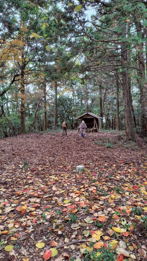 LINE_ALBUM_20251118大小権現_251121_28