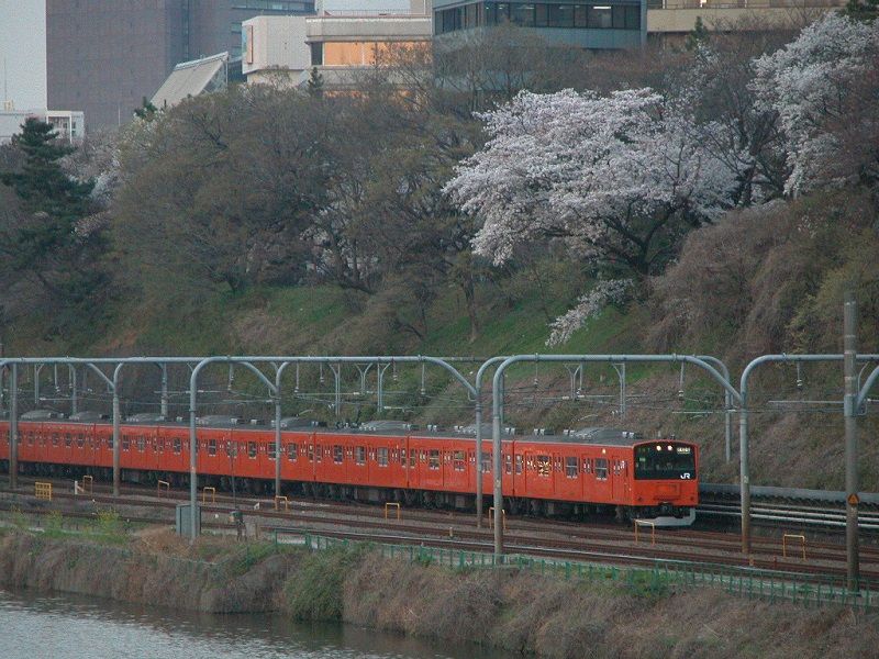イメージ 5