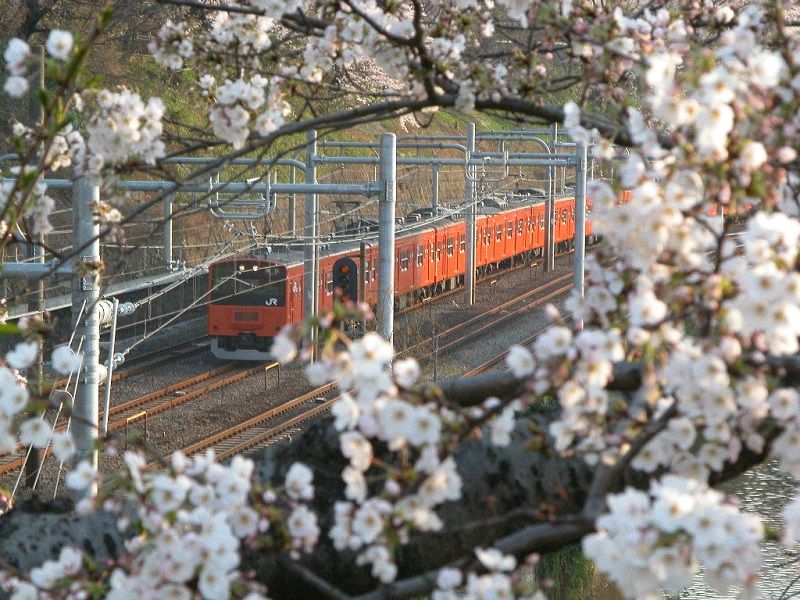 イメージ 1
