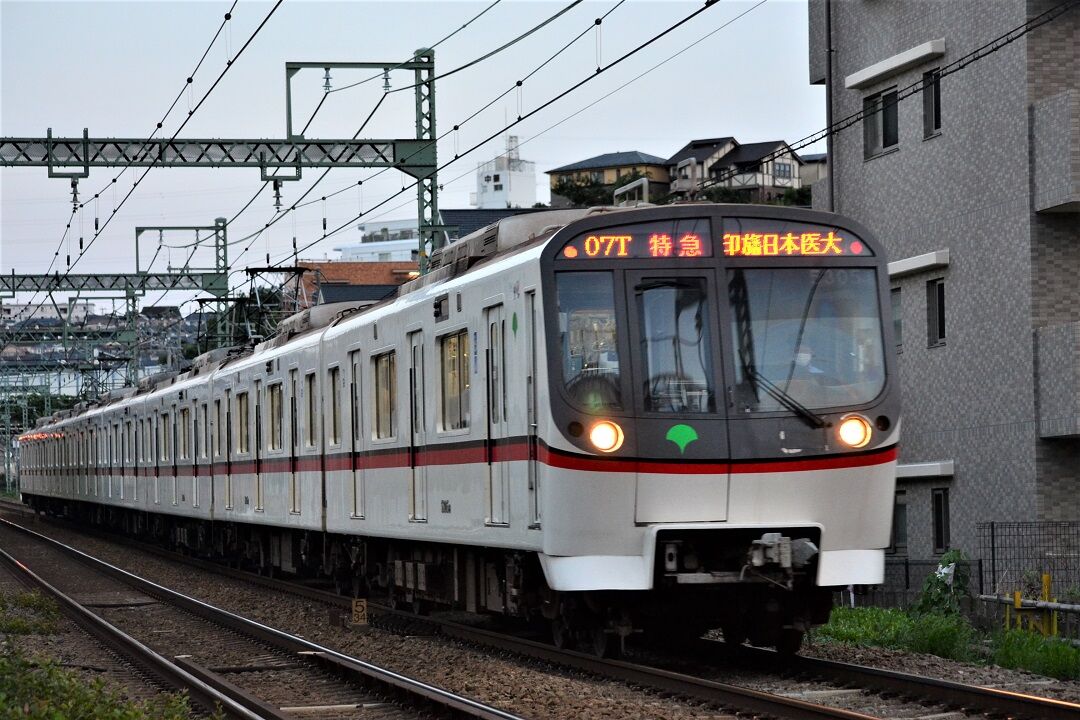 都営浅草線 5300形 5305f 年7月 8月 Silence Express 都営浅草線 5300形 5305f 年7月 8月 Silence Express
