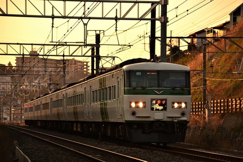 DSC_0116 - コピー